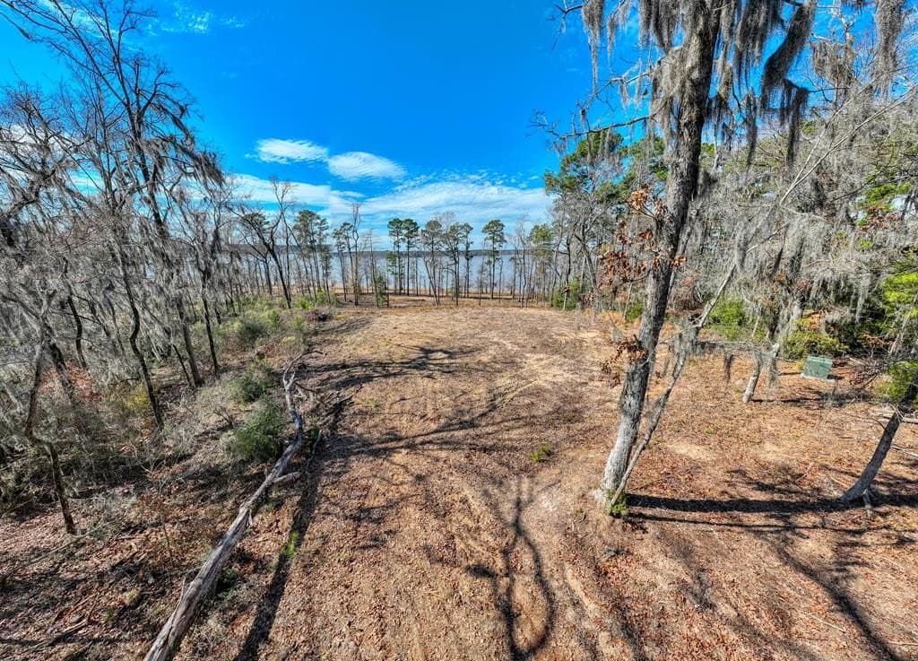 7.06 acres in Texas County - photo 7