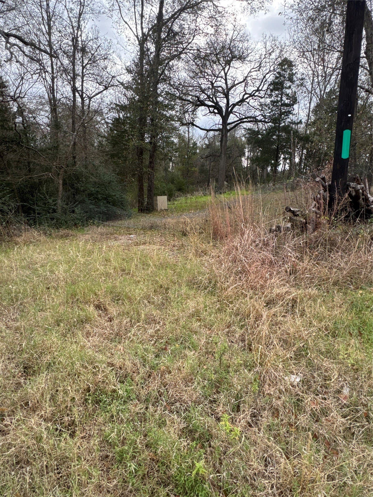 8.29 acres in Freestone County