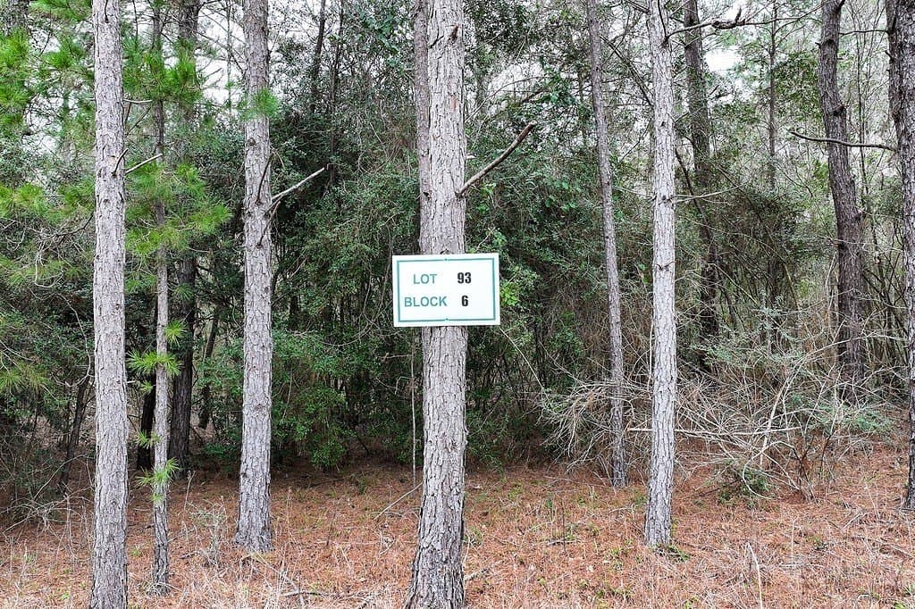 2 acres in Walker County gallery image 3