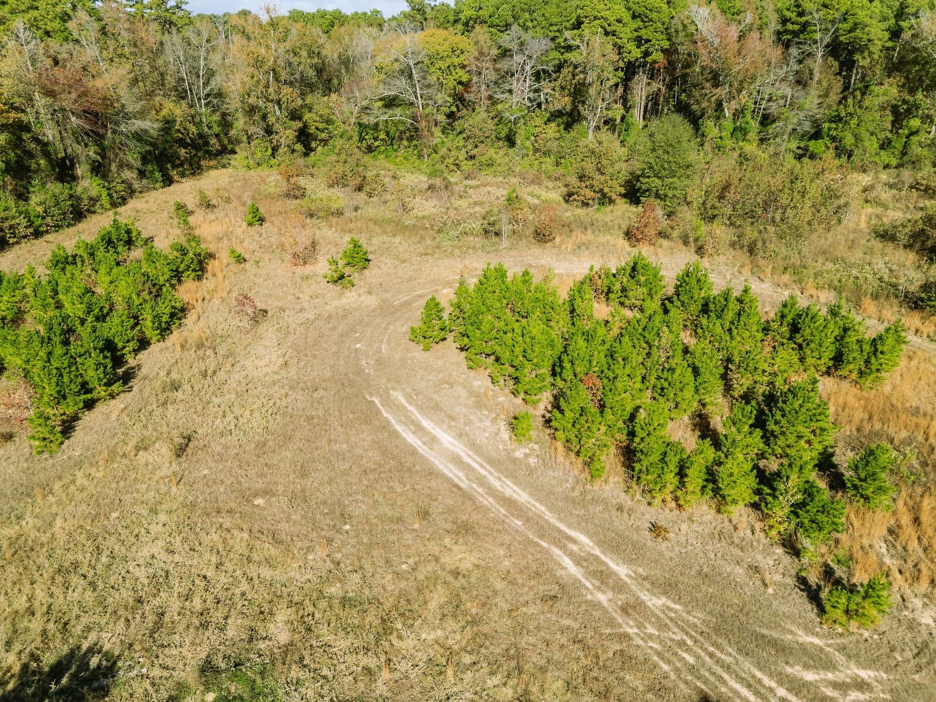 11.6 acres in Upshur County - photo 4