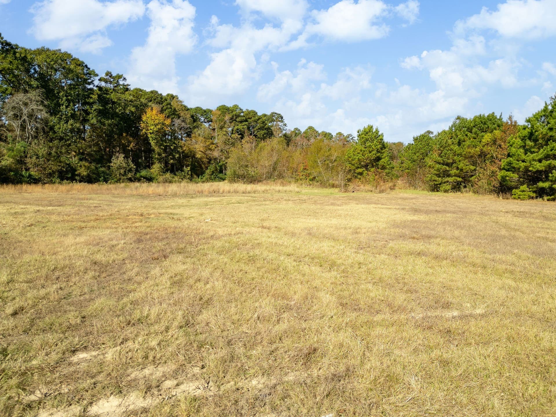 11.6 acres in Upshur County - photo 2