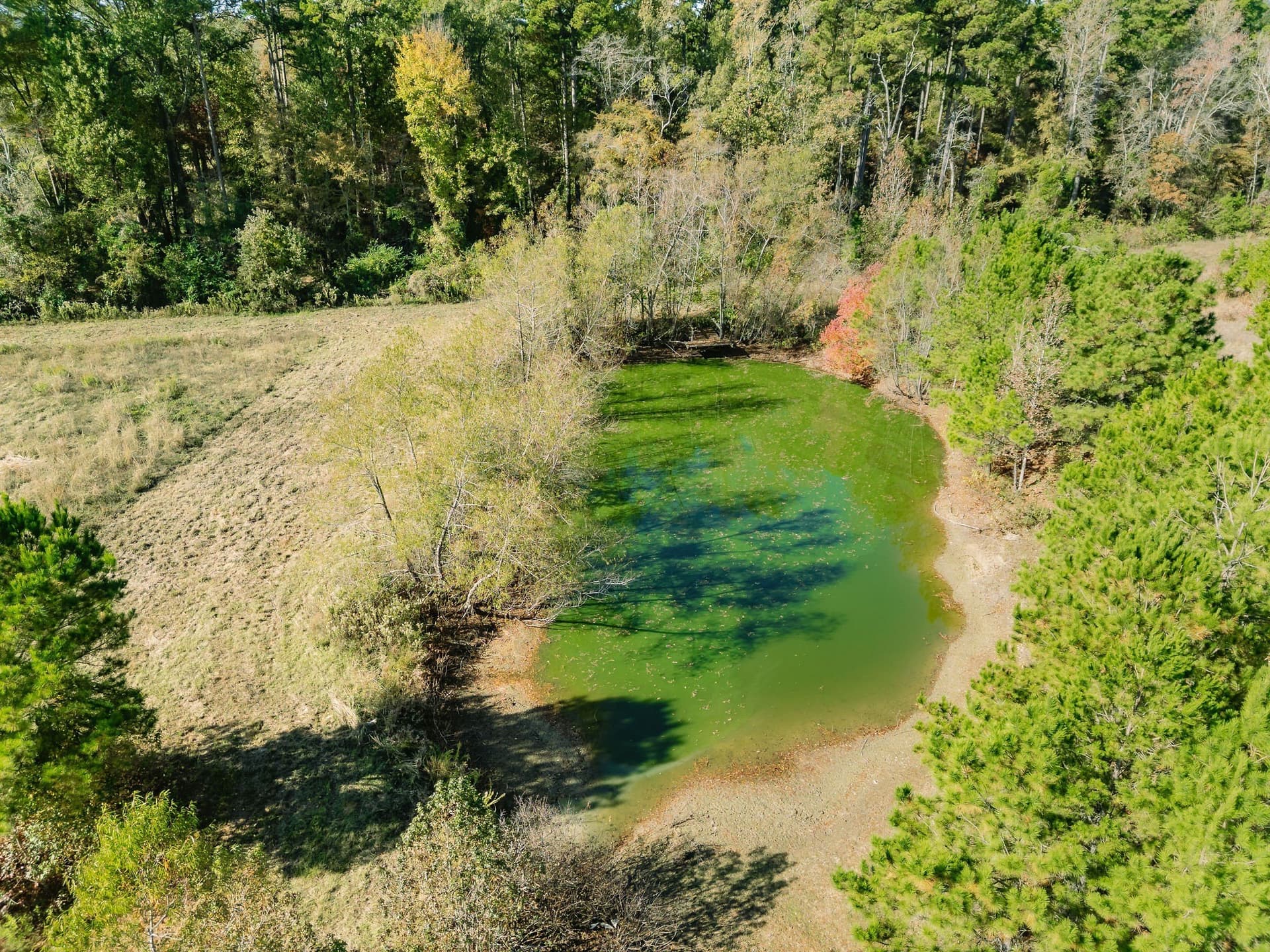 11.6 acres in Upshur County - photo 3