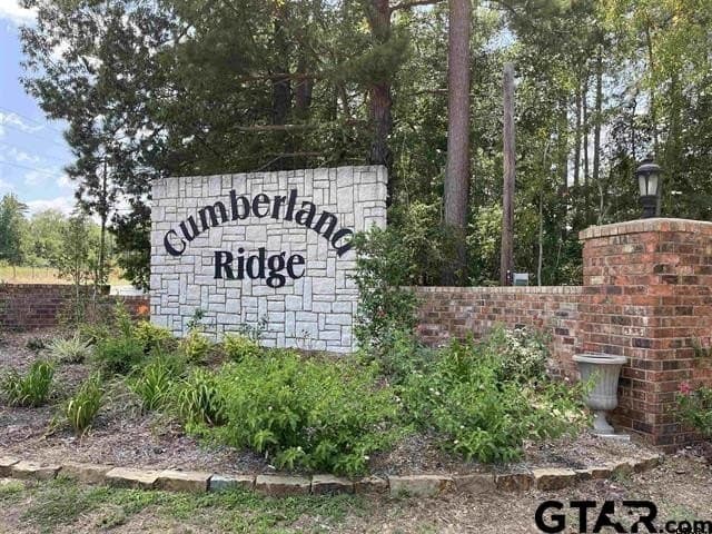 0.34 acres in Smith County gallery image 4