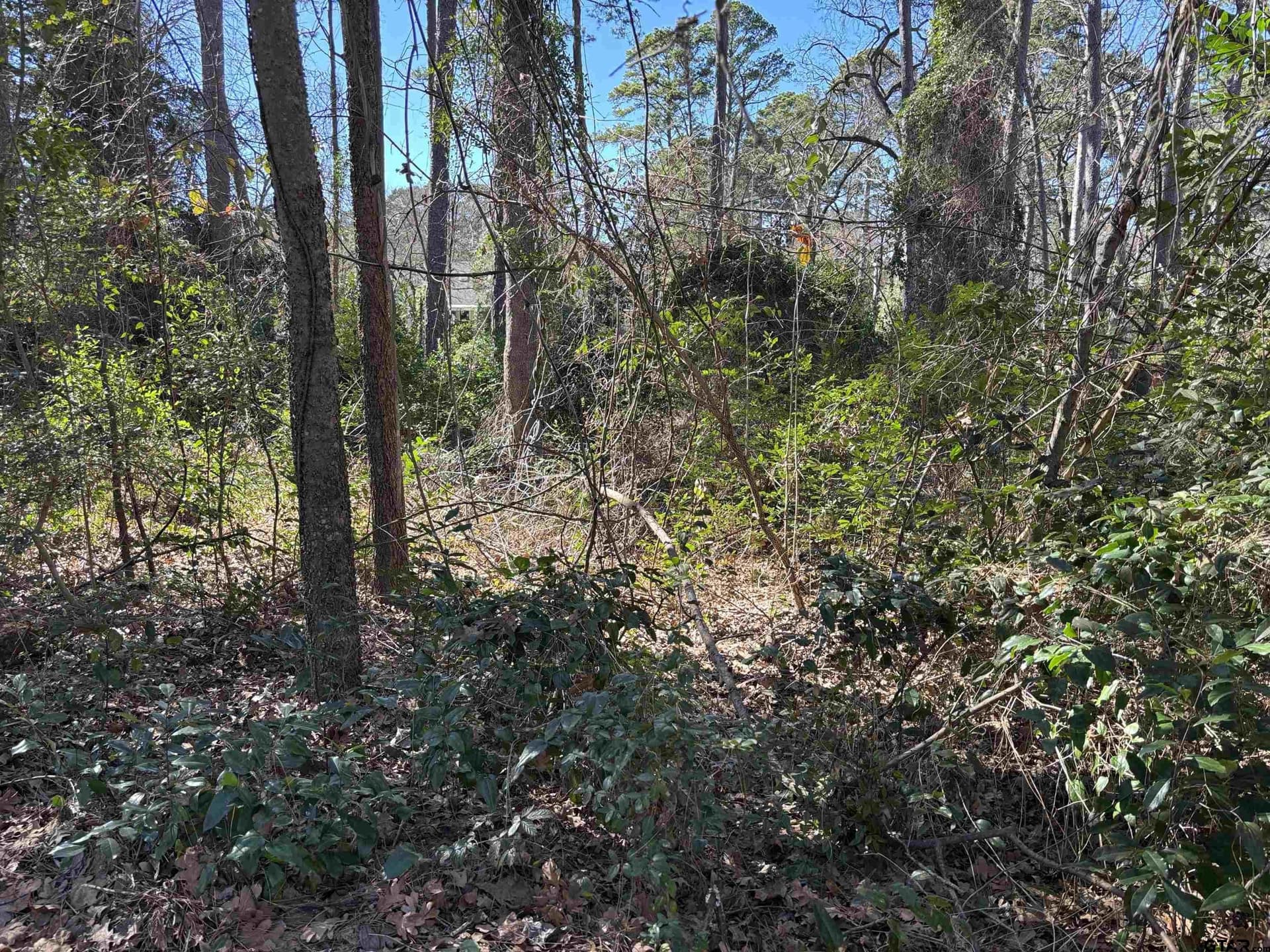 0.34 acres in Smith County gallery image 2