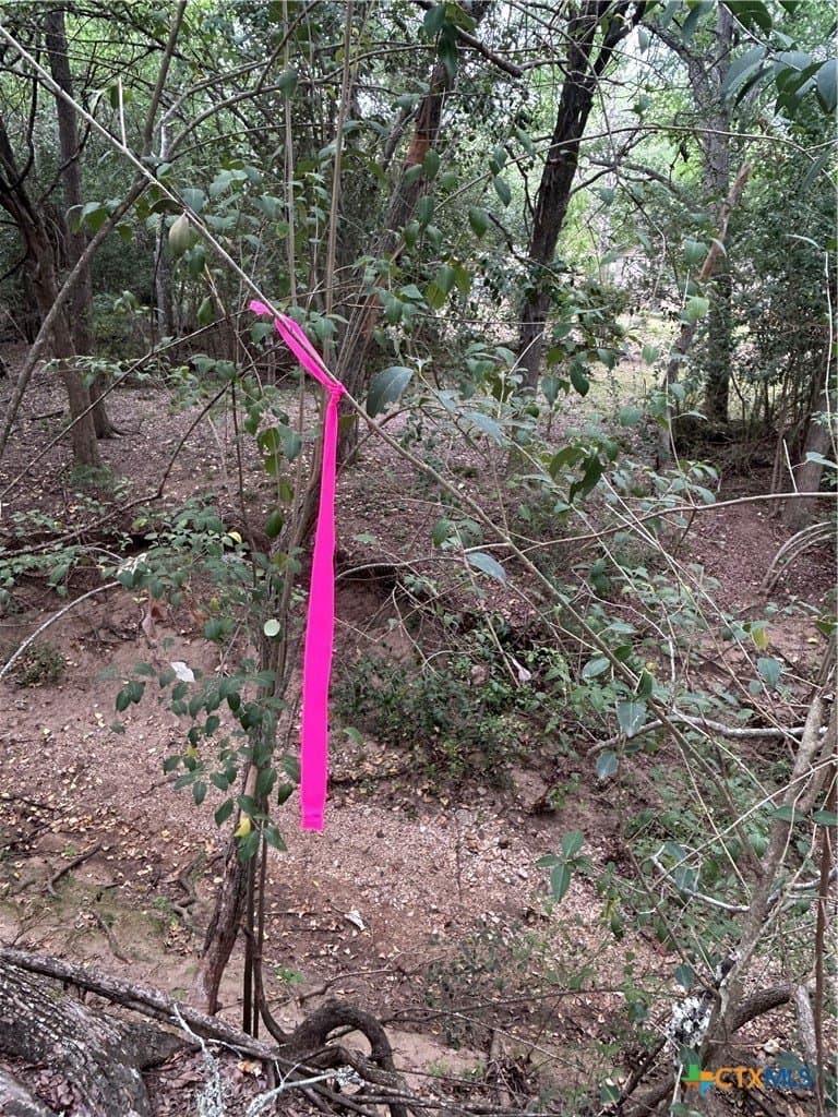 2.7 acres in Guadalupe County - photo 13