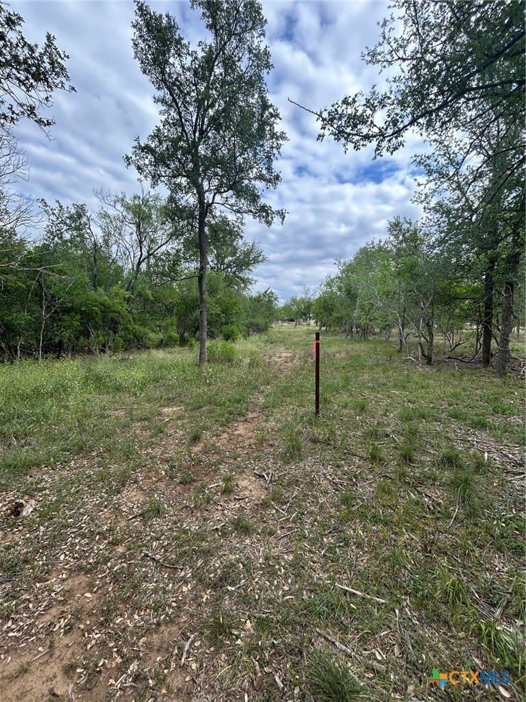 2.7 acres in Guadalupe County - photo 23