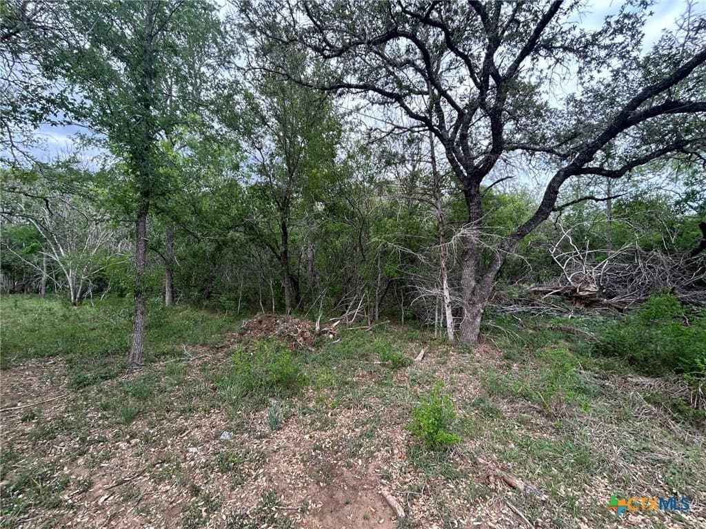 2.7 acres in Guadalupe County - photo 24