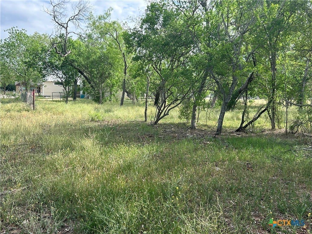 2.7 acres in Guadalupe County - photo 11