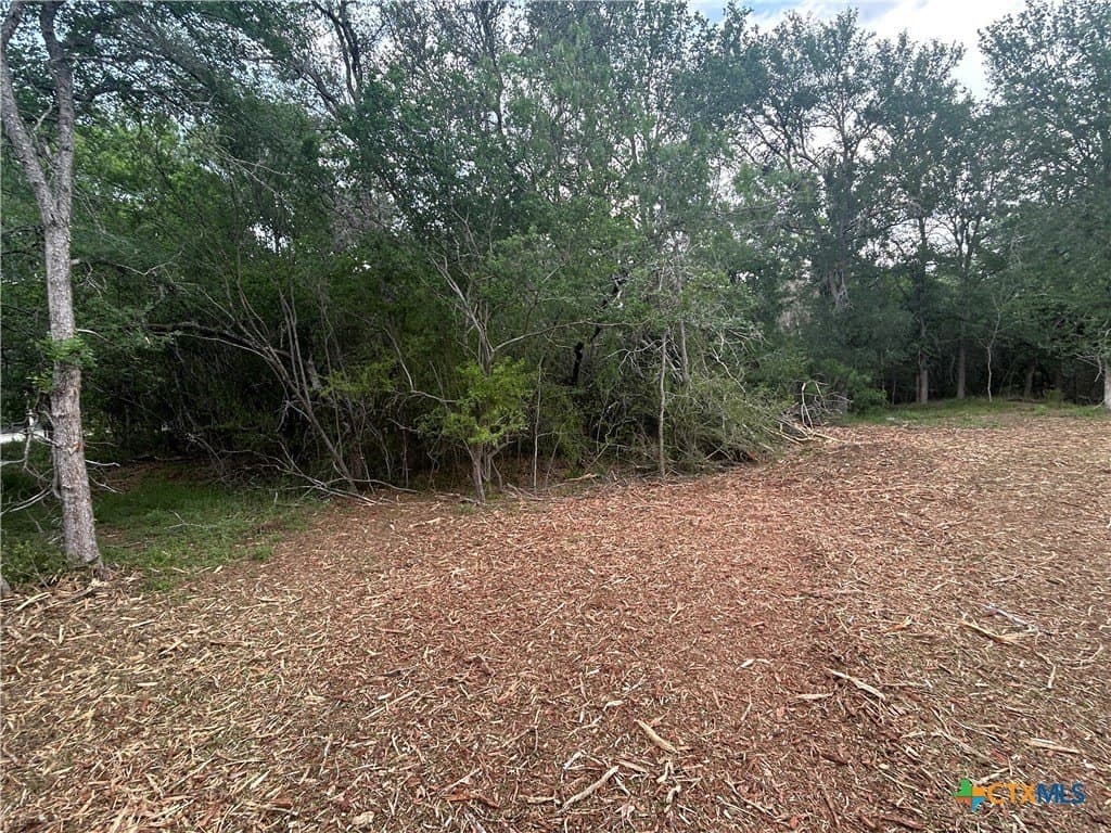 2.7 acres in Guadalupe County - photo 9