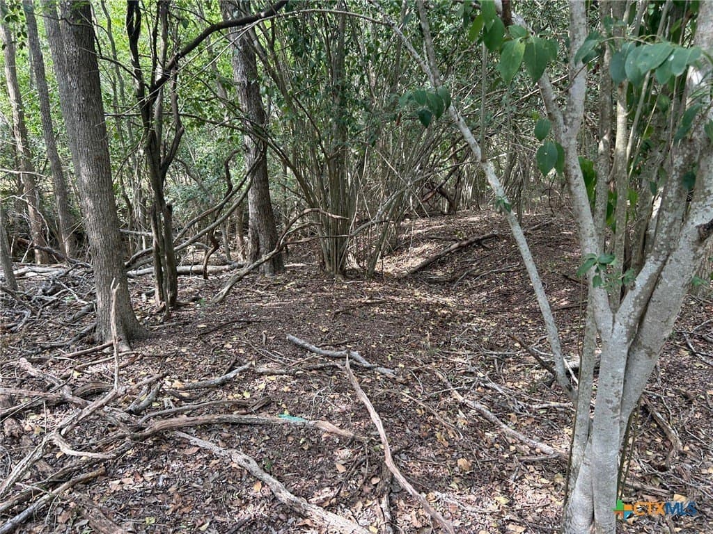 2.7 acres in Guadalupe County - photo 17