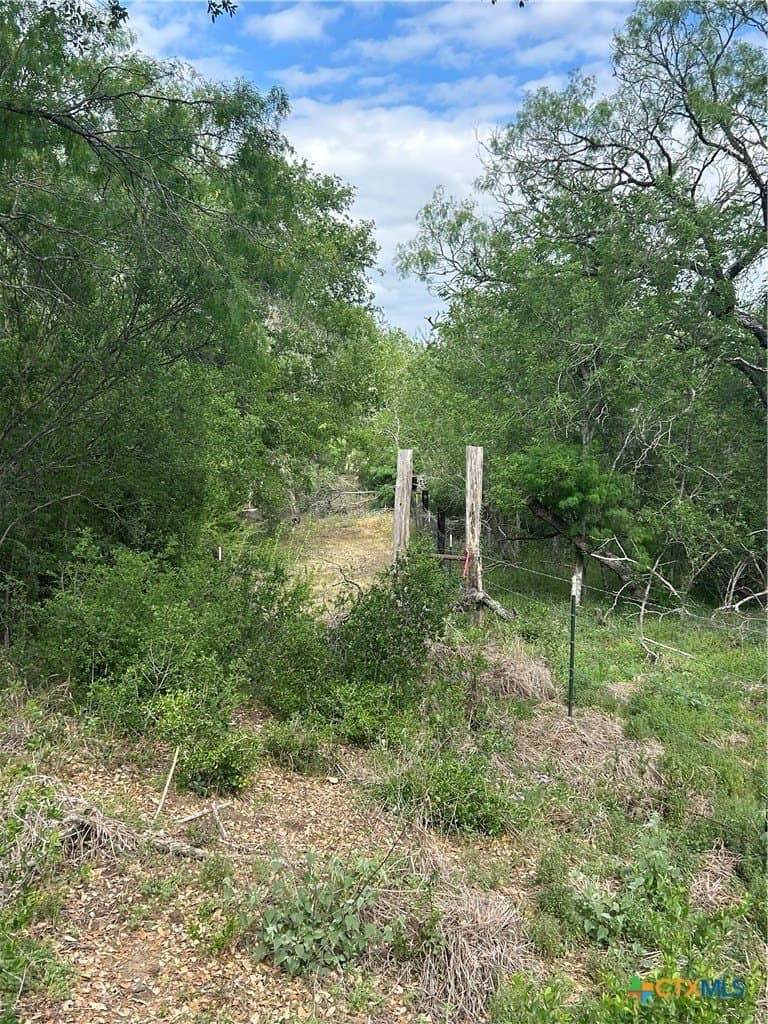 2.7 acres in Guadalupe County gallery image 4