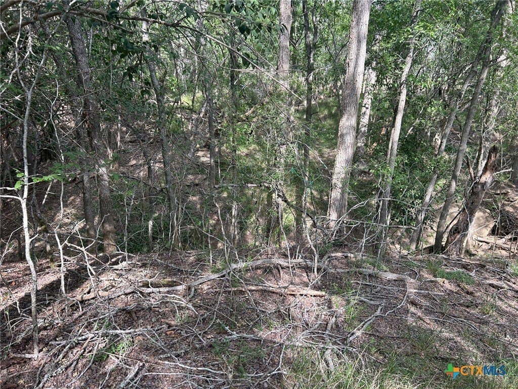 2.7 acres in Guadalupe County - photo 18