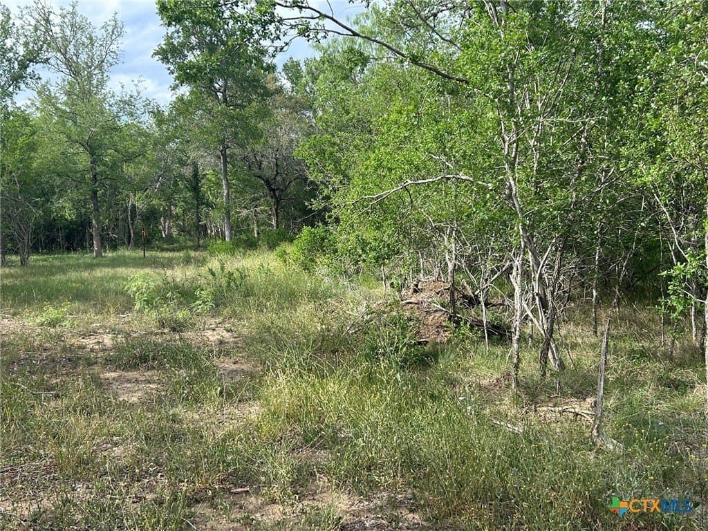 2.7 acres in Guadalupe County - photo 14