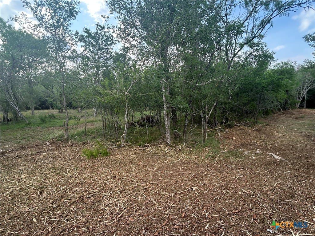 2.7 acres in Guadalupe County - photo 7