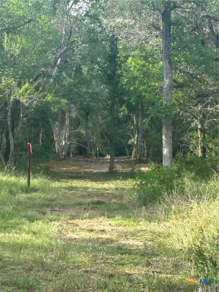 2.7 acres in Guadalupe County - photo 10