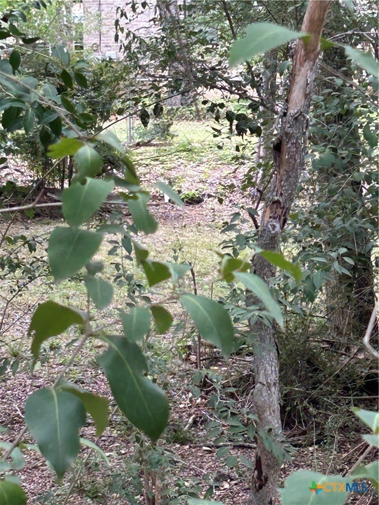 2.7 acres in Guadalupe County - photo 15