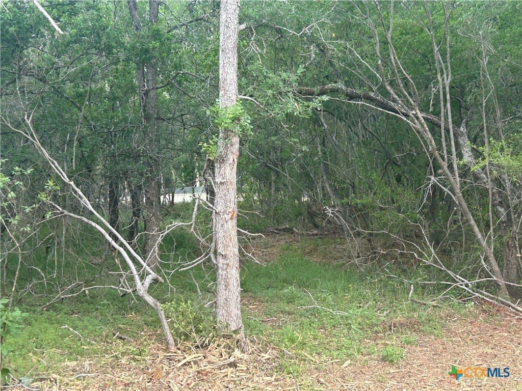 2.7 acres in Guadalupe County - photo 25