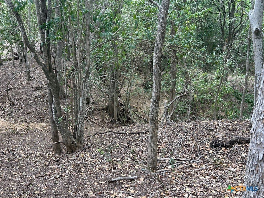 2.7 acres in Guadalupe County - photo 16