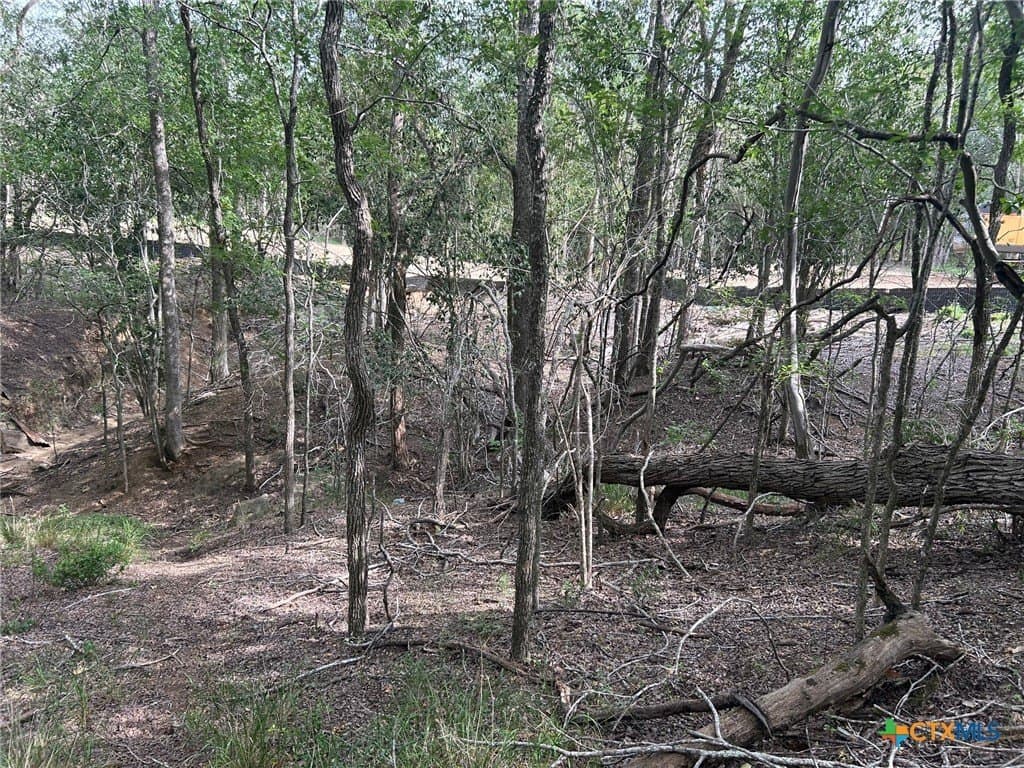 2.7 acres in Guadalupe County - photo 19