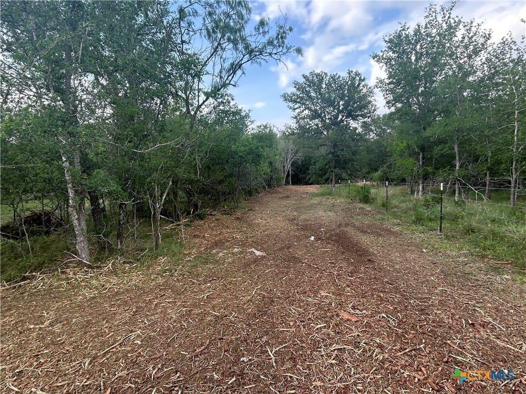 2.7 acres in Guadalupe County - photo 6