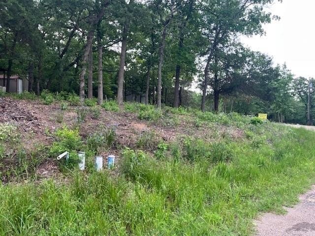 0.15 acres in Van Zandt County gallery image 4