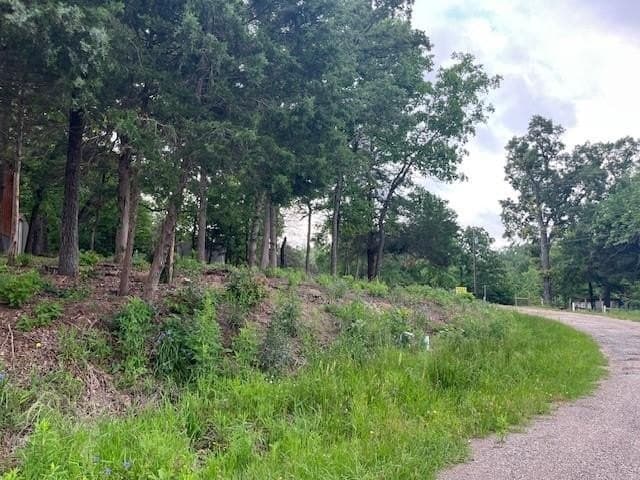 0.15 acres in Van Zandt County gallery image 3