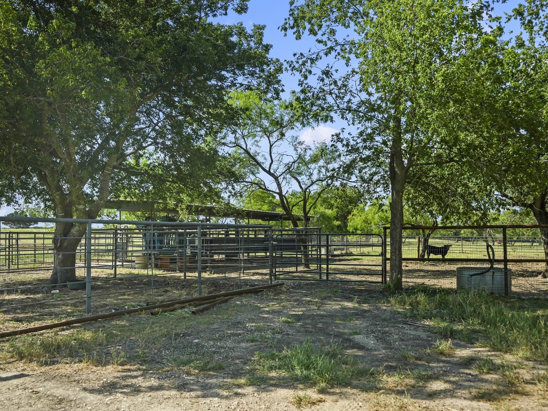 401.64 acres in Bosque County - photo 18
