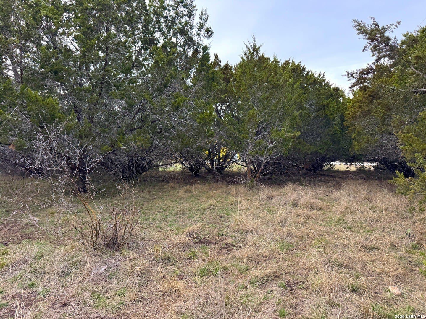 0.19 acres in Comal County gallery image 2