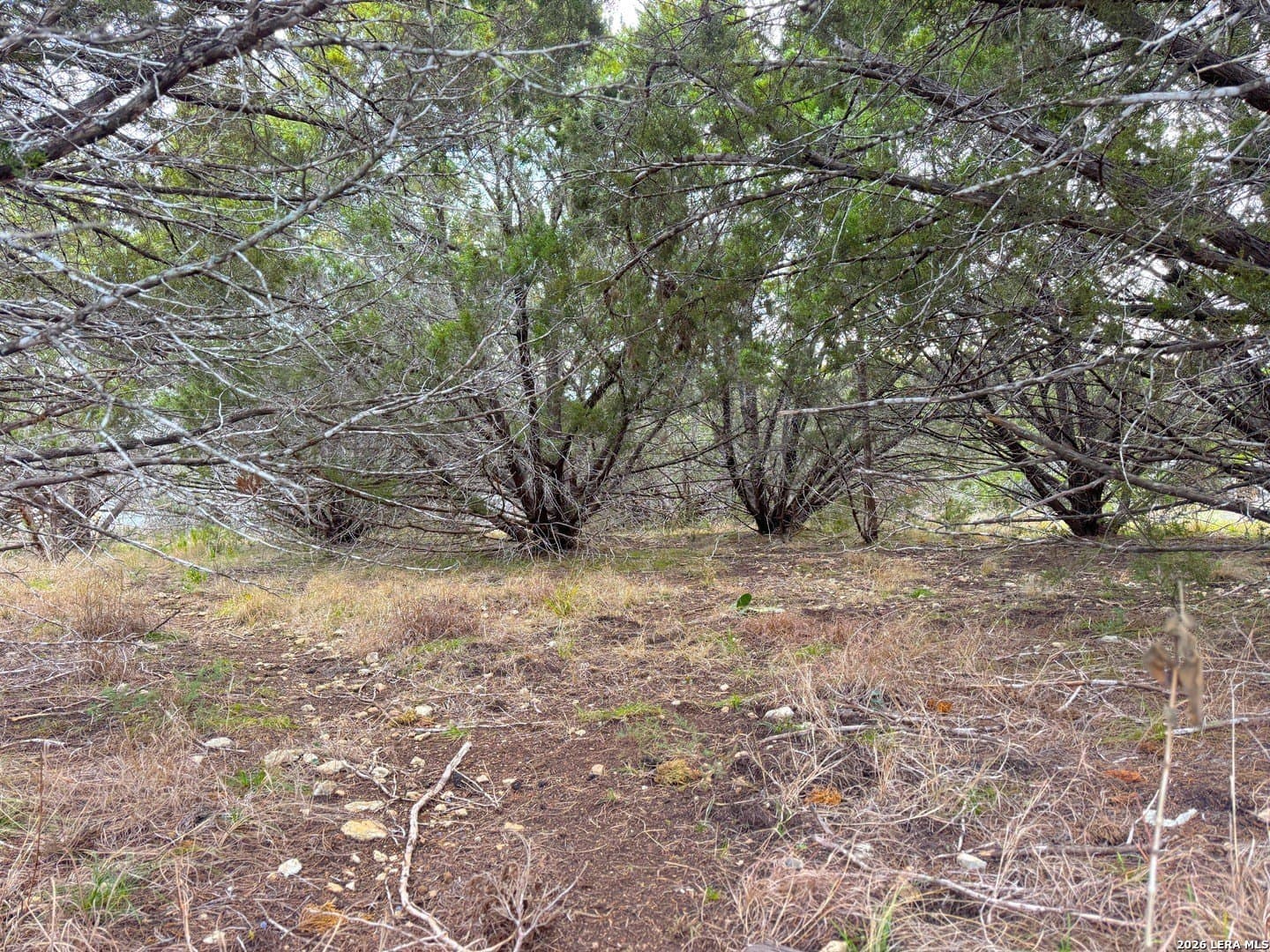0.19 acres in Comal County - photo 9