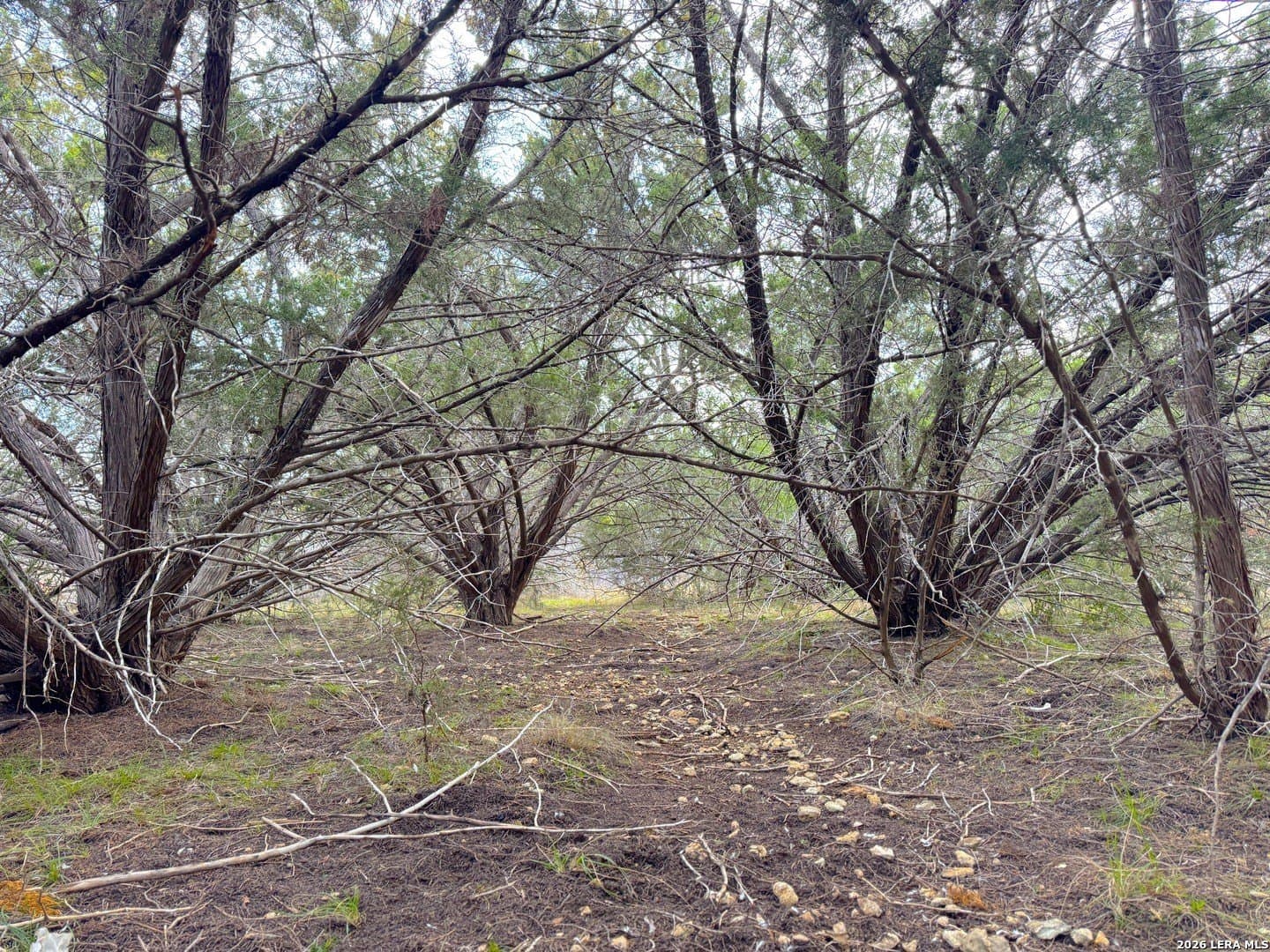 0.19 acres in Comal County - photo 7