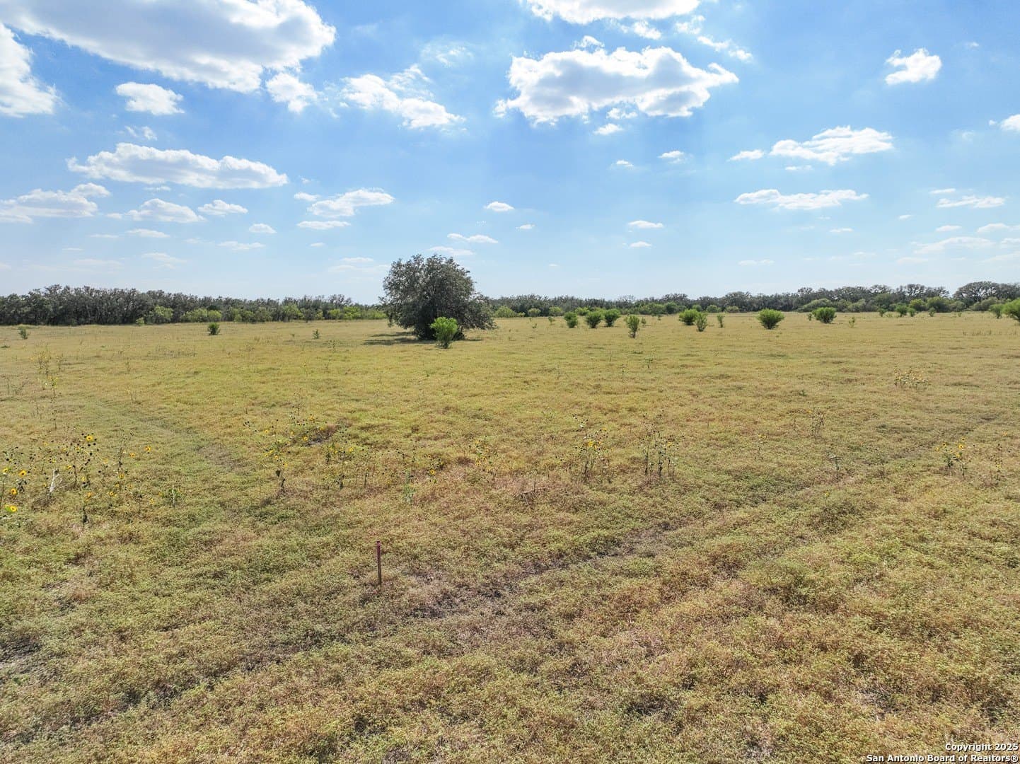 11.22 acres in Medina County - photo 13