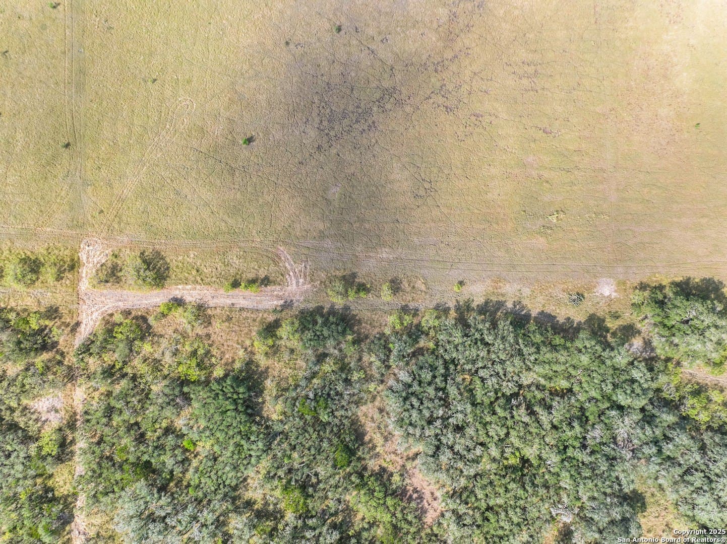 11.22 acres in Medina County - photo 19