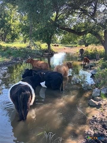 20.04 acres in Burnet County - photo 7