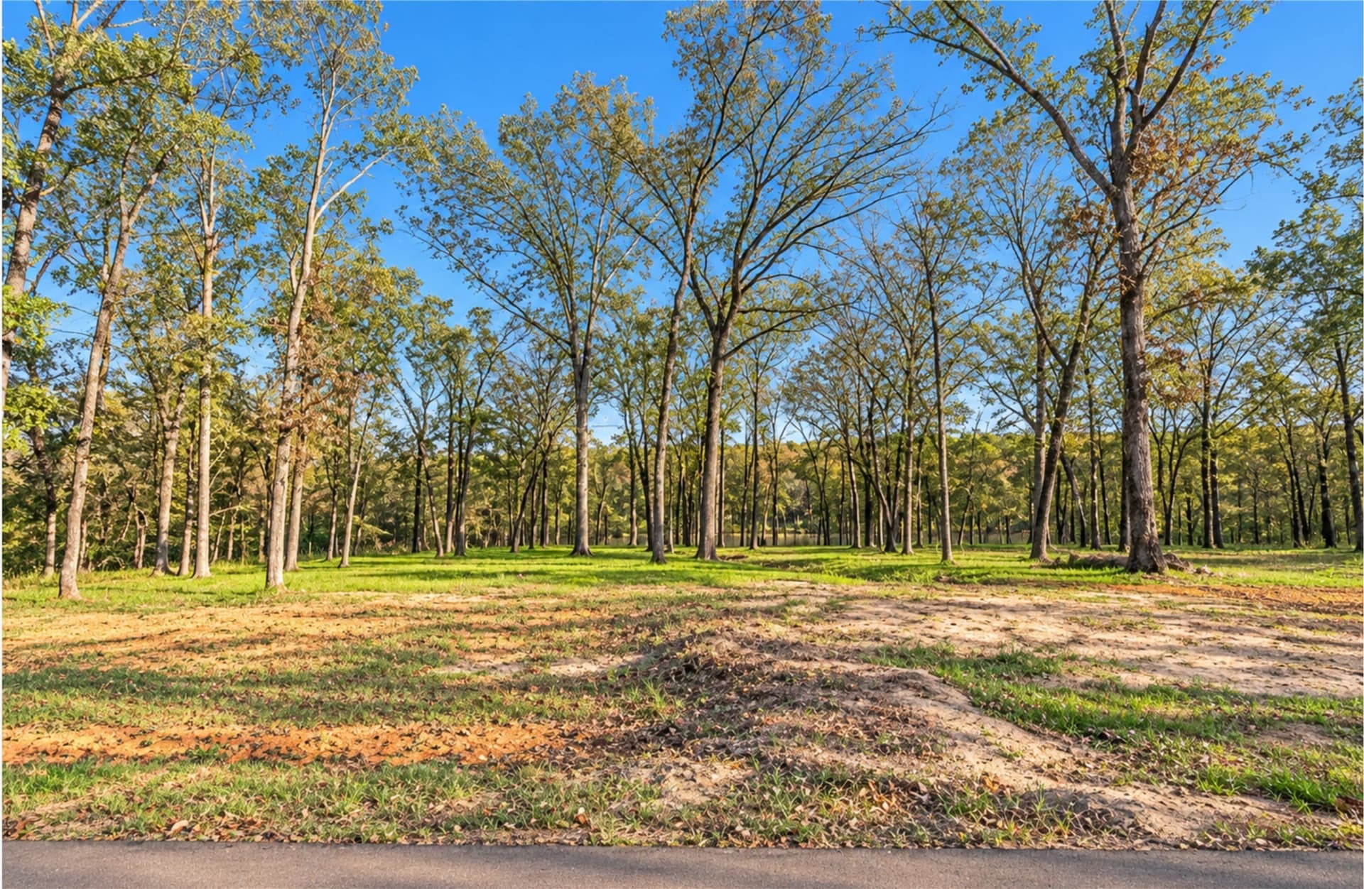 1.07 acres in Camp County - photo 3