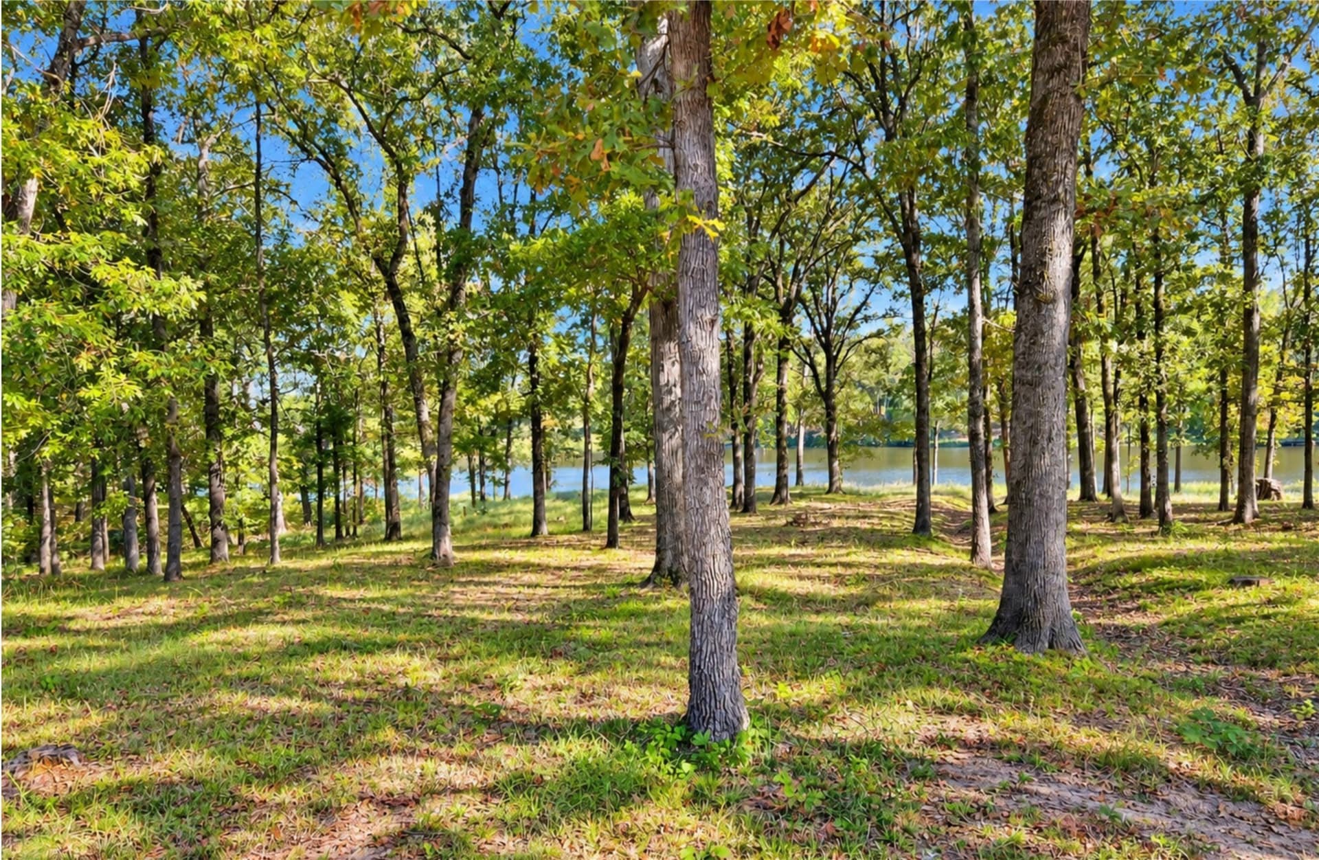 1.07 acres in Camp County - photo 2