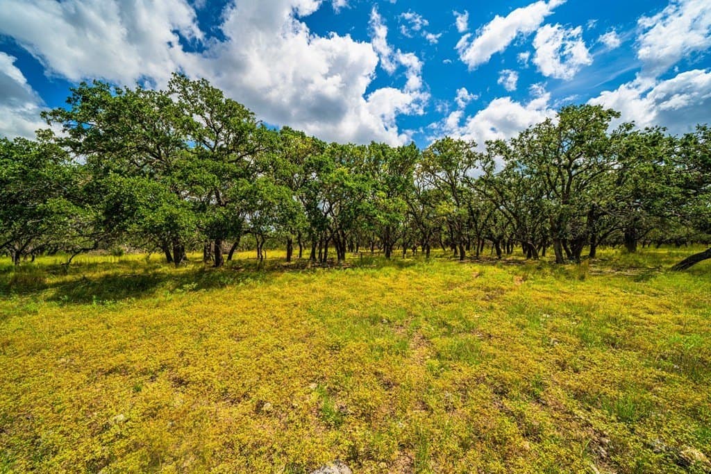 14.9 acres in Kimble County gallery image 3