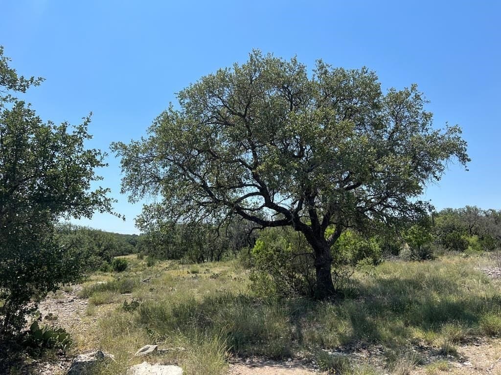 12.16 acres in Tom Green County gallery image 2