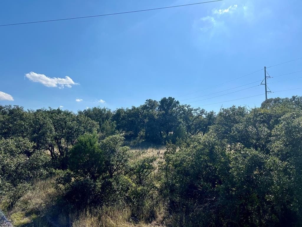 12.16 acres in Tom Green County gallery image 3