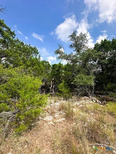 1.53 acres in Comal County - photo 6
