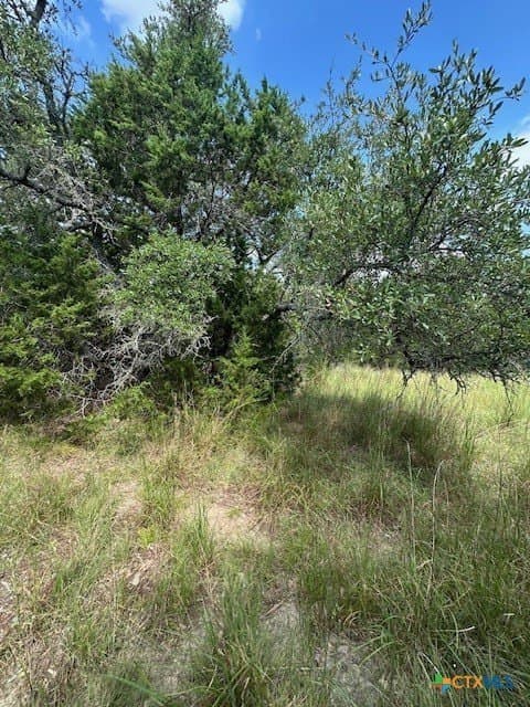 1.53 acres in Comal County - photo 10