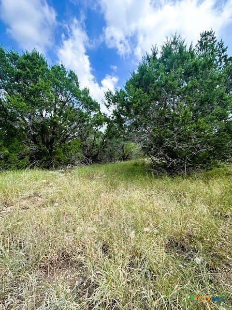 1.53 acres in Comal County - photo 7