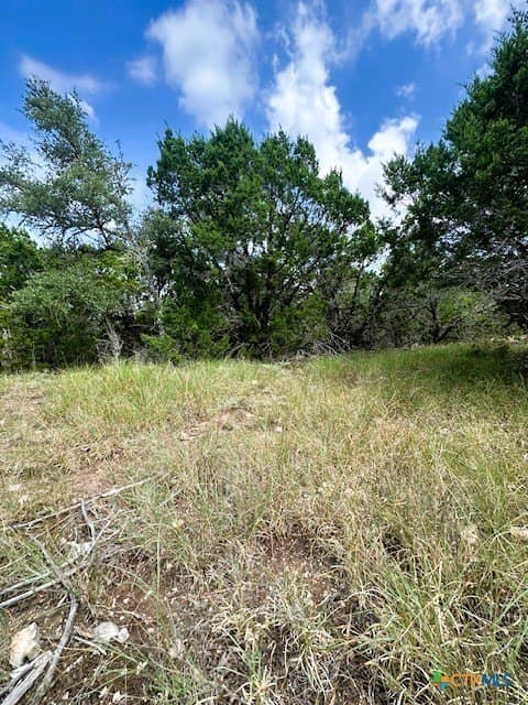 1.53 acres in Comal County - photo 8