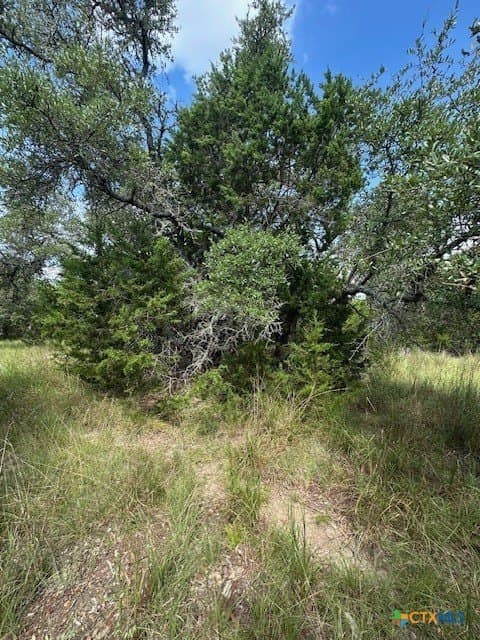 1.53 acres in Comal County - photo 9