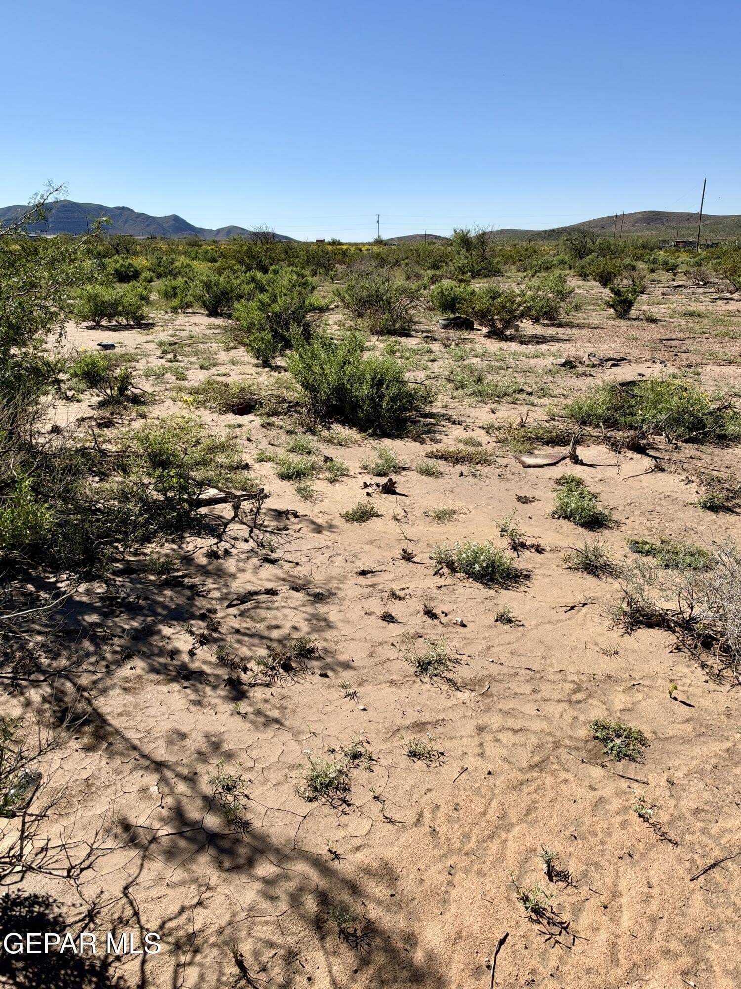 5 acres in El Paso County - photo 5