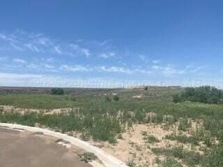 10.45 acres in Randall County gallery image 2