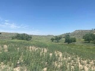 10.45 acres in Randall County gallery image 4