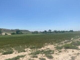 10.45 acres in Randall County gallery image 3