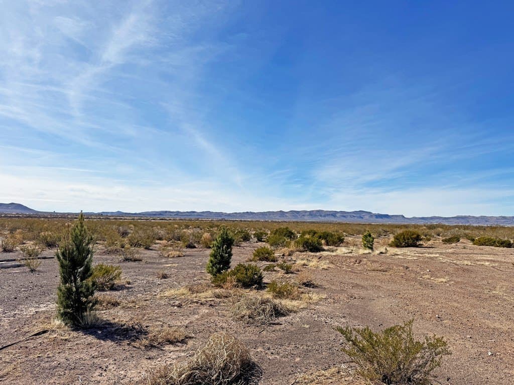 63.89 acres in Jeff Davis County - photo 57