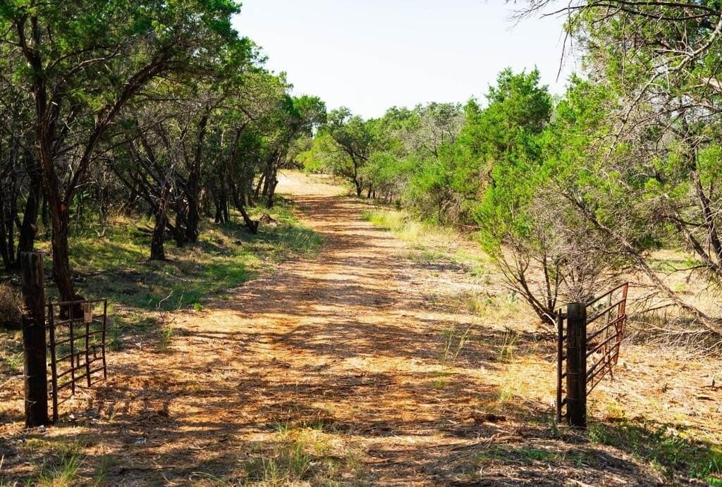 20 acres in Travis County - photo 25
