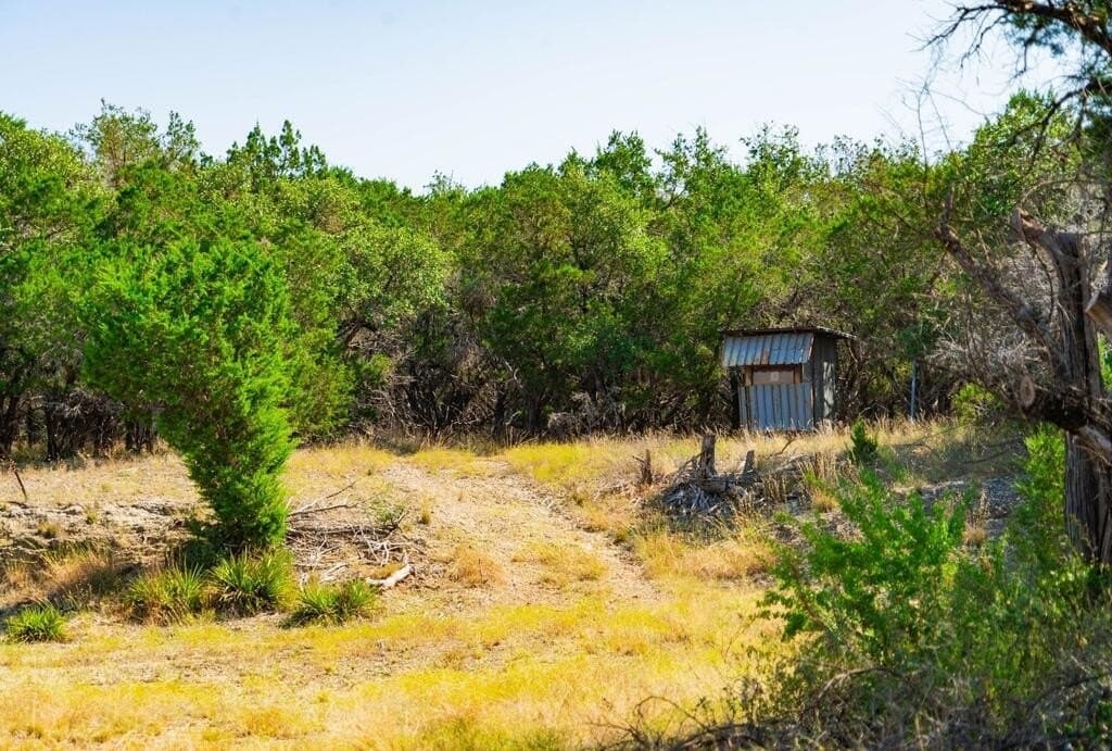 20 acres in Travis County - photo 9